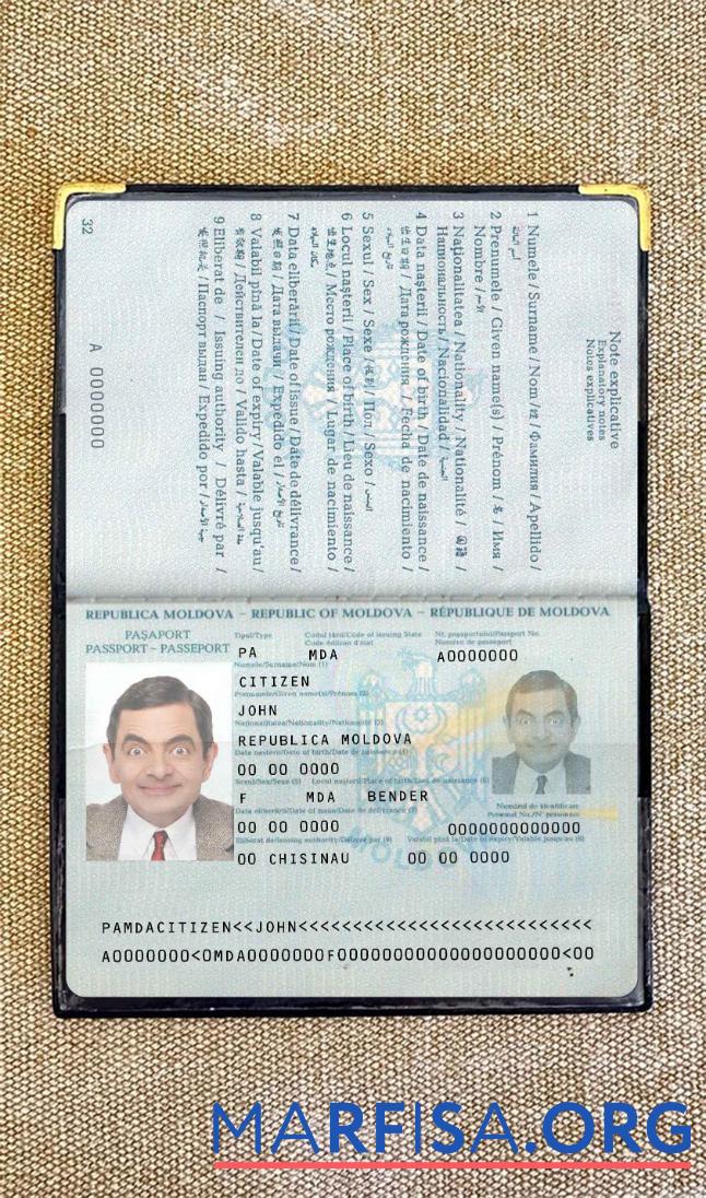 Downloadable Moldova pass photo look example